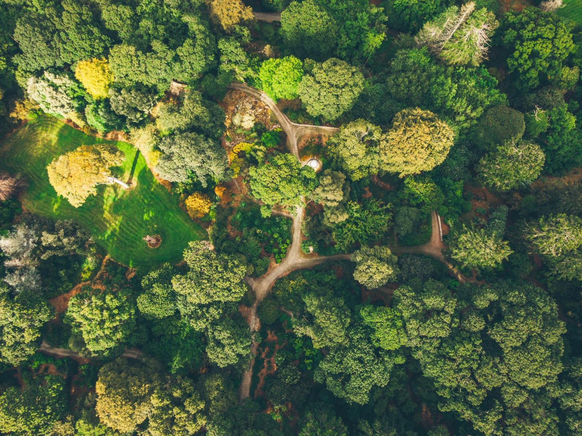 The Forest At Mount Congreve Gardens Kilmeaden Exterior photo